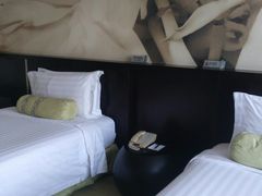 -国家会议中心大酒店