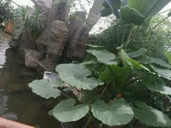 -汤山翠谷生态餐厅