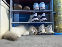 -零纪元VR体验馆·桌游(黄浦店)