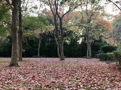 -蠡湖中央公园