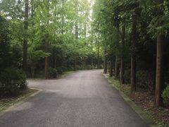 -崇明东平国家森林公园烧烤房车露营地