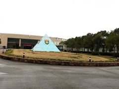 -中加枫华国际学校