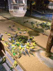 -酷嗒动物文化乐园(cutezoo西溪乐天城店)