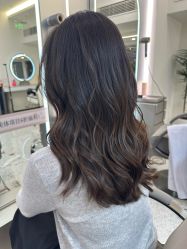 -杜卡诗salon