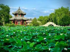 -莲池书院博物馆