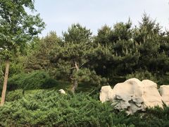 -万达影城(潍坊万达广场IMAX店)