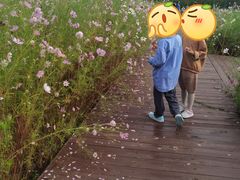 -东郊湿地公园
