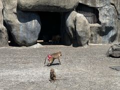 -宁波野生动物园