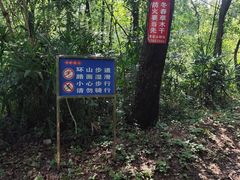 -青龙山国家森林公园