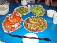 -枸杞岛
