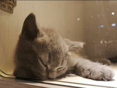 -乐宠宠物店(世纪金源店)