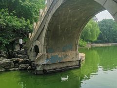 -团结湖公园