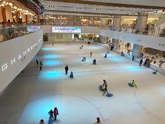-TheRink大零溜冰场(IFS国金中心店)