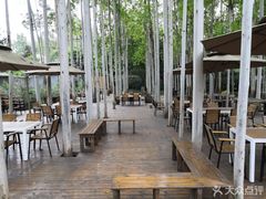 -桉树林A coffee 森林餐厅(三圣乡店)