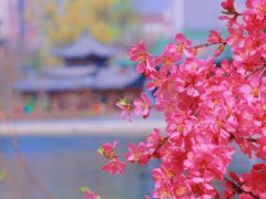 -迎泽公园