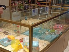 -悠尼宠物·独立低压伊珊娜洗护·美容·寄养(兰谷路店)