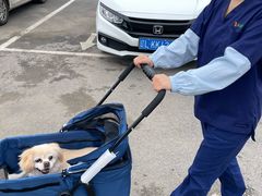 -派美特宠物医院·核磁CT·骨科肿瘤·疑难转诊(沈农禾丰店)