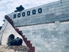 -侵华日军南京大屠杀遇难同胞纪念馆-停车场