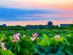 -东昌湖风景区