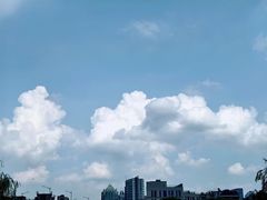 -金沙湖公园