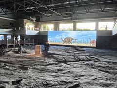 -自贡恐龙博物馆