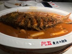 -阿五黄河大鲤鱼(纬三路店)