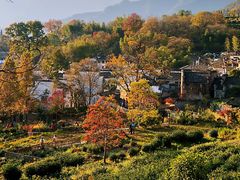 -塔川景区