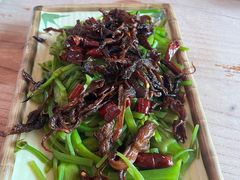 -缘生态云南菜·野生菌庭院餐厅(华侨城店)