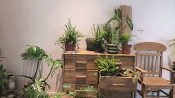 -WAVE SODA摄影工作室