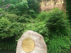 -峨眉山报国寺