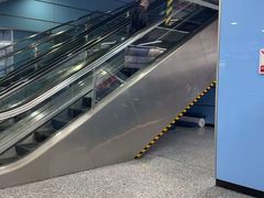 -大龙山(地铁站)