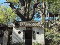 -塔川景区