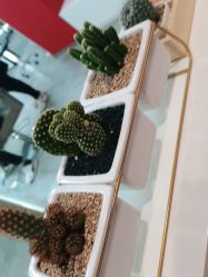 -禾曼造型