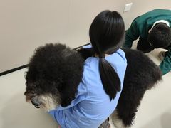 -御宝贝24h宠物医院·转诊中心·CT核磁血透中心(厦门总院)