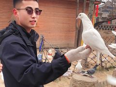 -大槐树寻根祭祖园