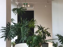 -CAFE'IN精品咖啡体验空间(小寨店)