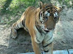 -北京野生动物园