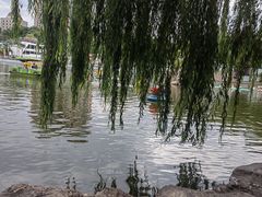 -团结湖公园