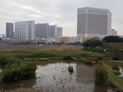 -龙环葡韵住宅式博物馆