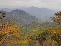 -大岭沟猕猴桃谷风景区