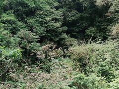 -海口火山口国家地质公园