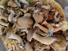 -南坛综合农贸市场