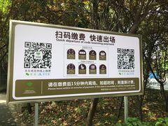 -上海佘山国家森林公园东门地面停车场