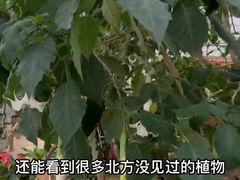 -兰陵国家农业公园