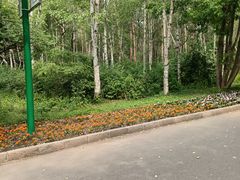 -黑龙江省森林植物园