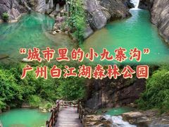 -广州白江湖森林公园