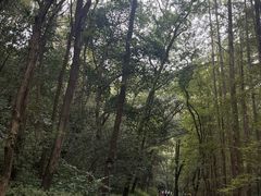 -宋宴(虎跑店)