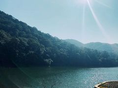 -广州市石门国家森林公园