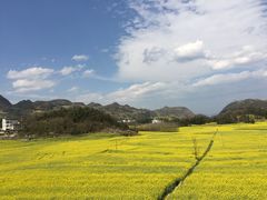 -牛街螺丝田