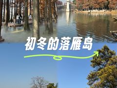 -东湖落雁景区